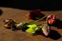 photography by engongoro