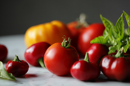 summer tomatoes, photography by engongoro