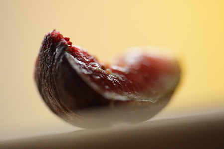 fig in fall, photography by dan engongoro
