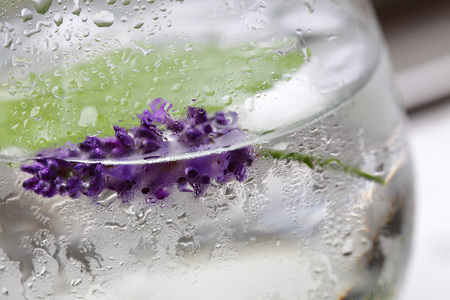 drink photography by engongoro, flower of lavender mint water, nj