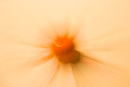 photography by engongoro, food, orange and rose petals